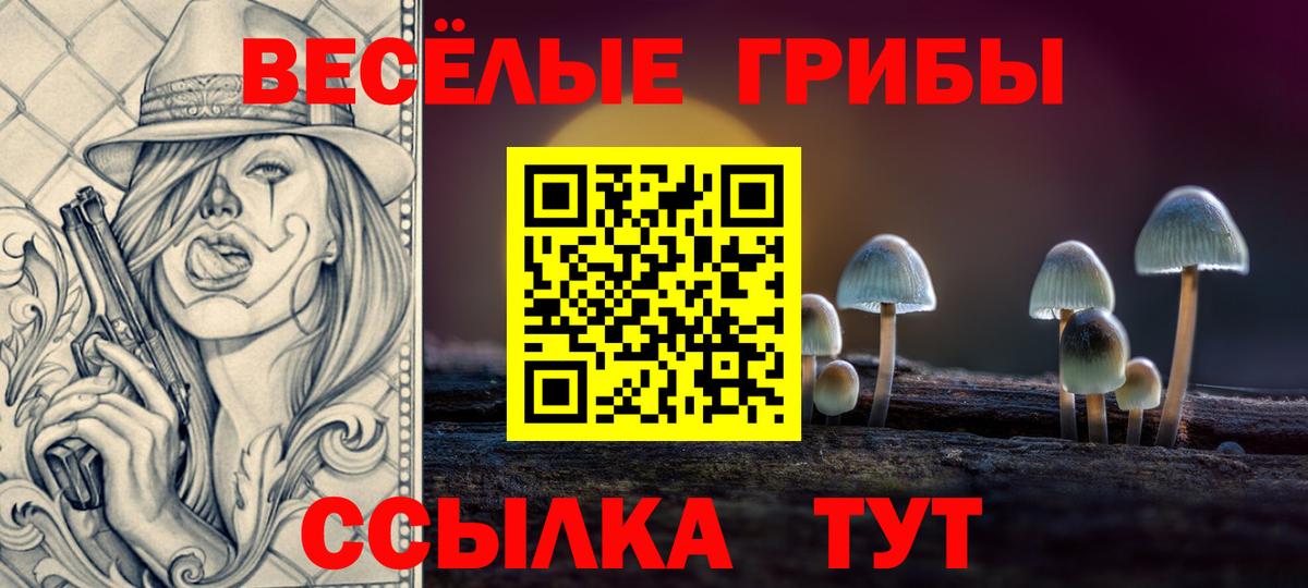 Калач-на-Дону  Псилоцибиновые грибы Cubensis  Вход с VPN 