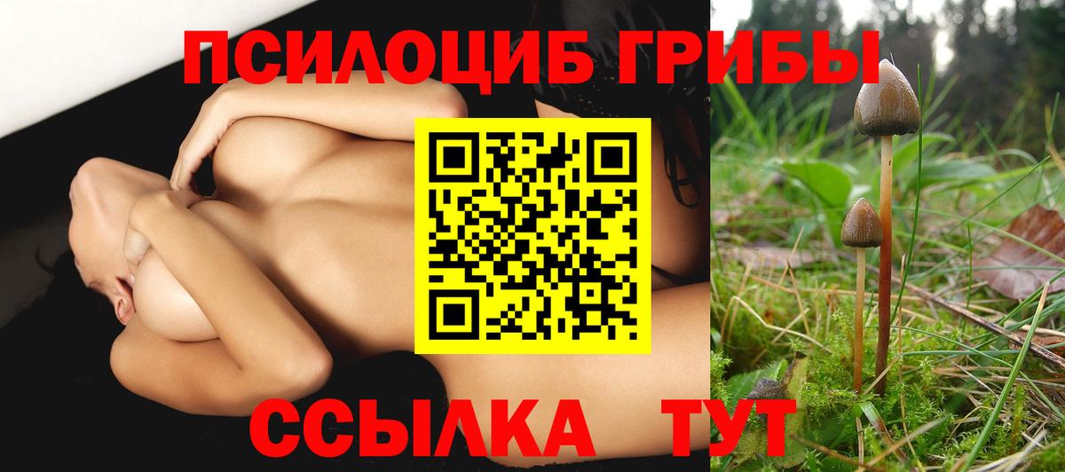Галлюциногенные грибы Psilocybine cubensis Калач-на-Дону